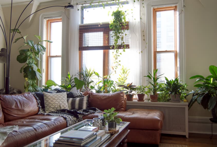 Bringing The Outdoors In: A Rustic Boho Living Room