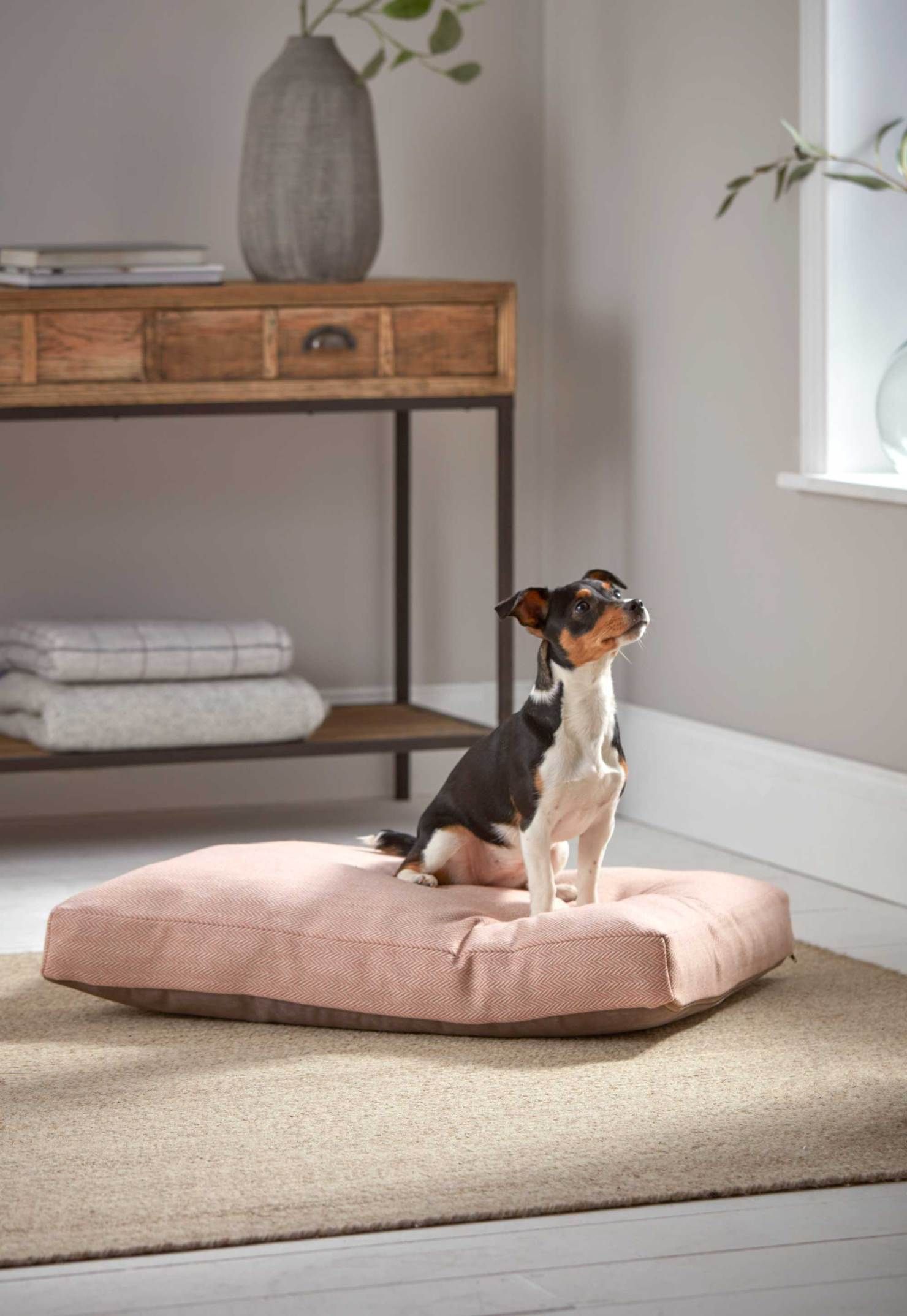 Home Decor For Pet Owners: Keeping It Stylish And Functional