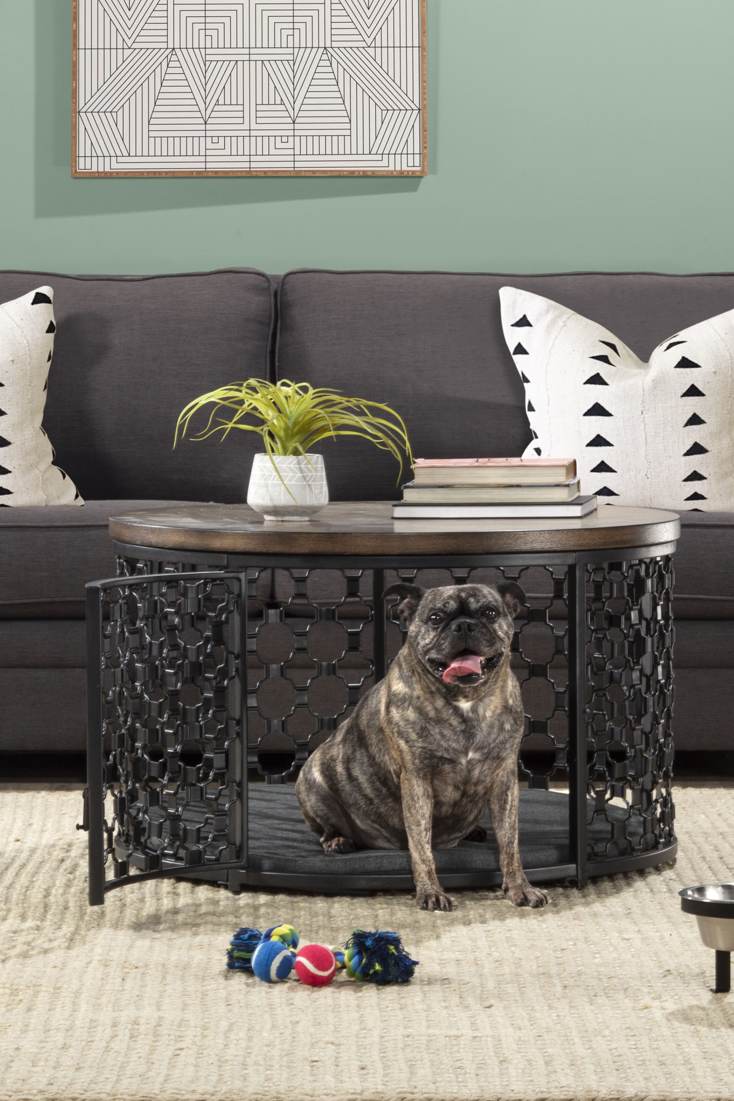 Home Decor For Pet Owners: Keeping It Stylish And Functional
