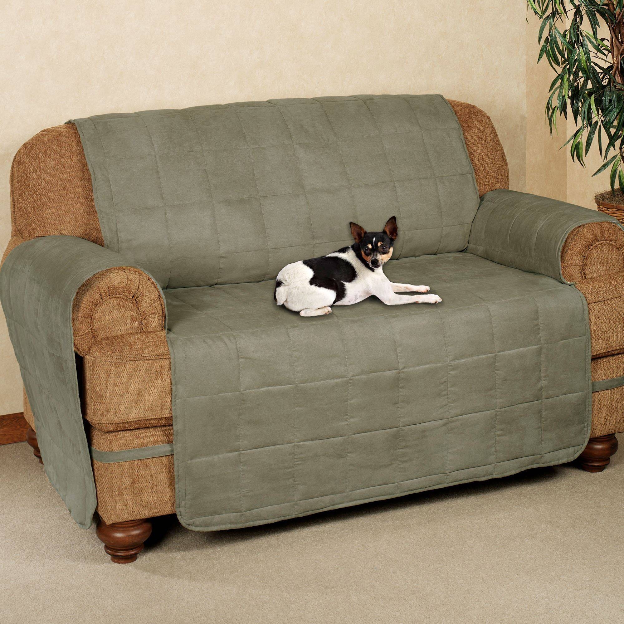 Pet friendly Furniture Options