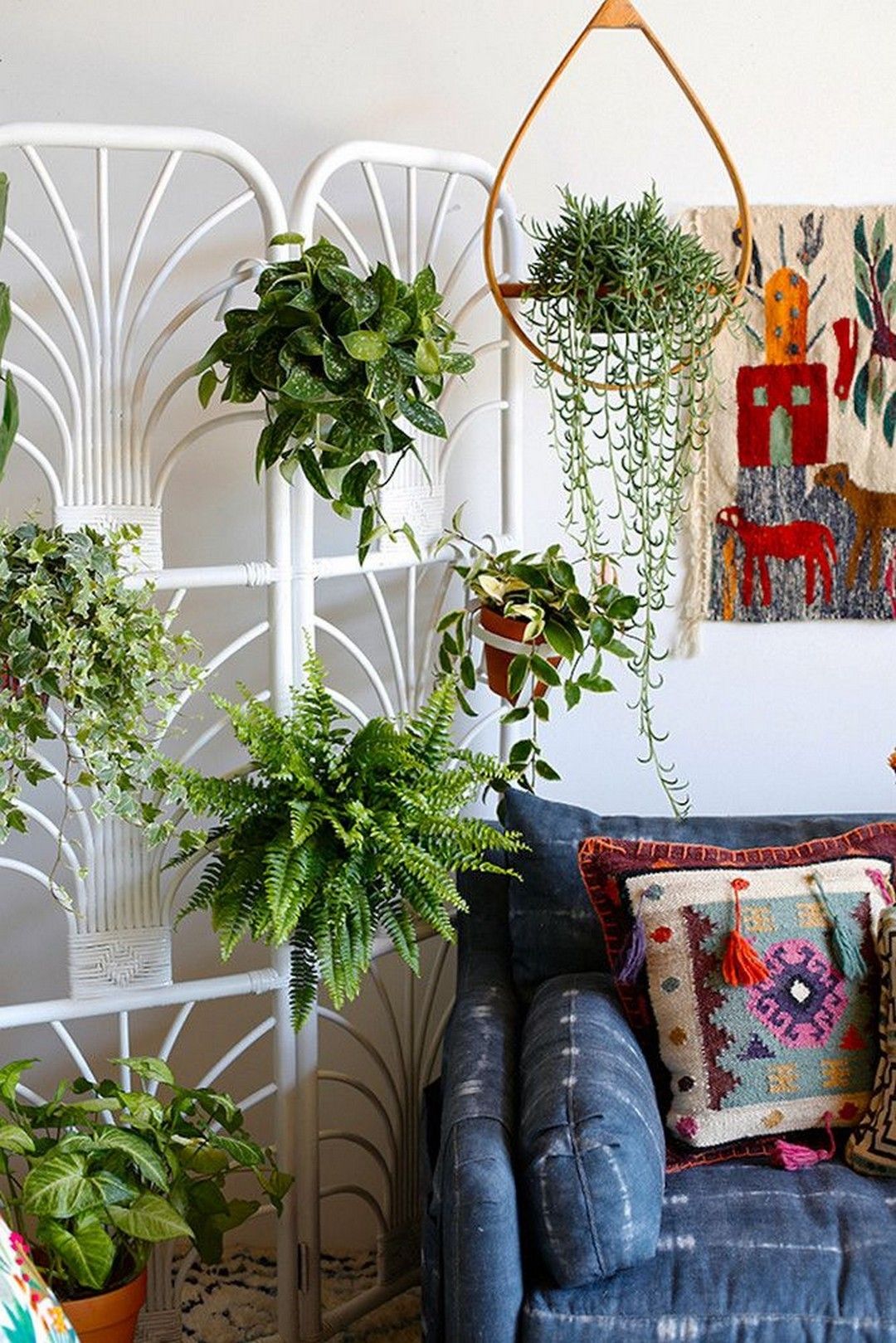 12 Indoor Plants For A Vibrant Home Decor