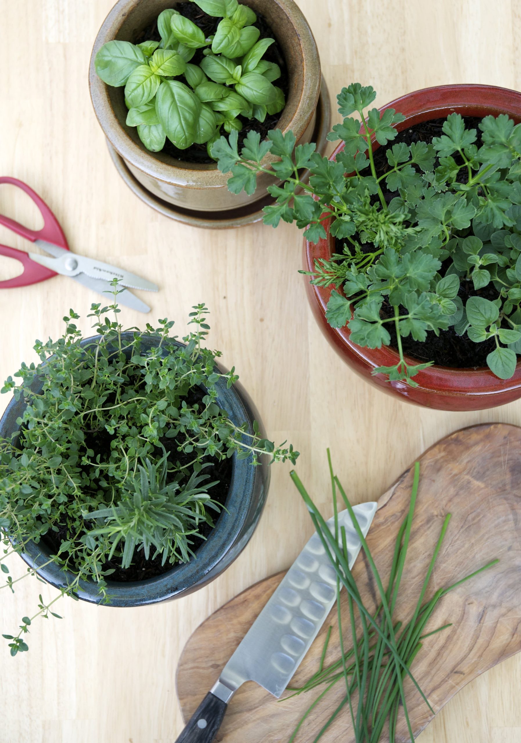 Edible Elegance: Growing And Showcasing Kitchen Herb Gardens