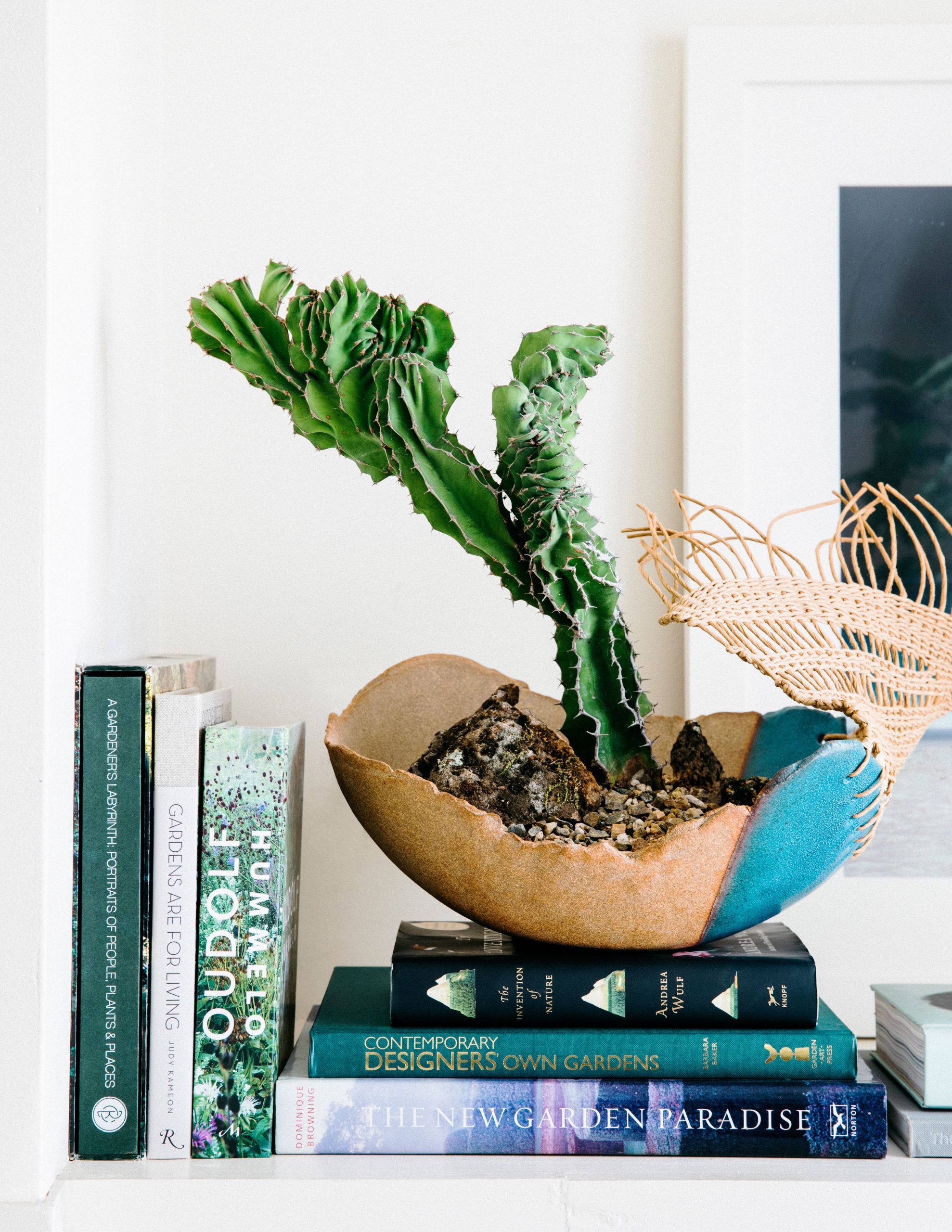 Plant Parenthood: Choosing And Caring For Indoor Greenery